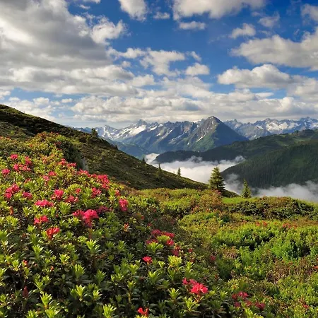 Brugger Chaletdorf Chalet Mayrhofen