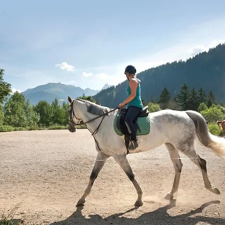 Brugger Chaletdorf Chalet