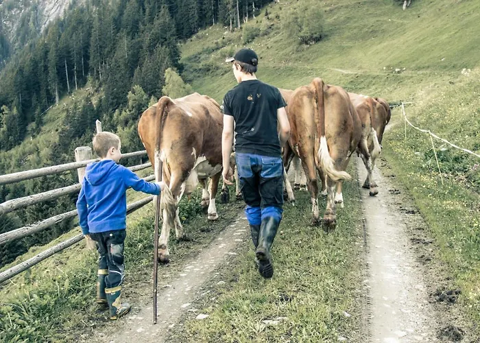 Brugger Chaletdorf Domek alpejski