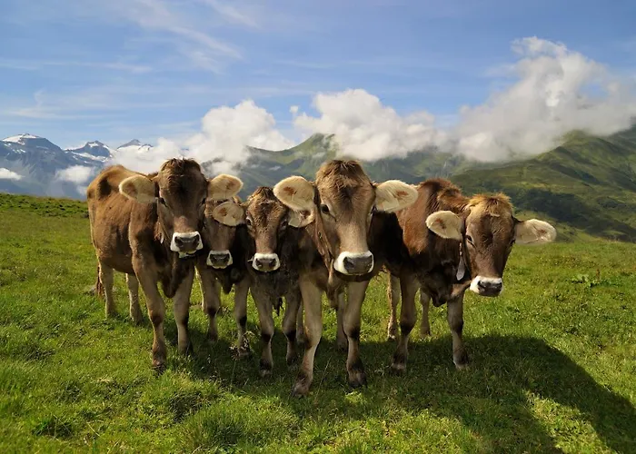 Шале Brugger Chaletdorf