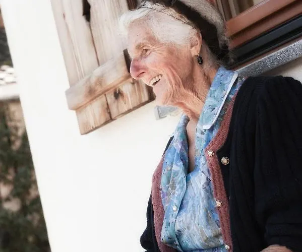 Brugger Chaletdorf Σαλέ Mayrhofen