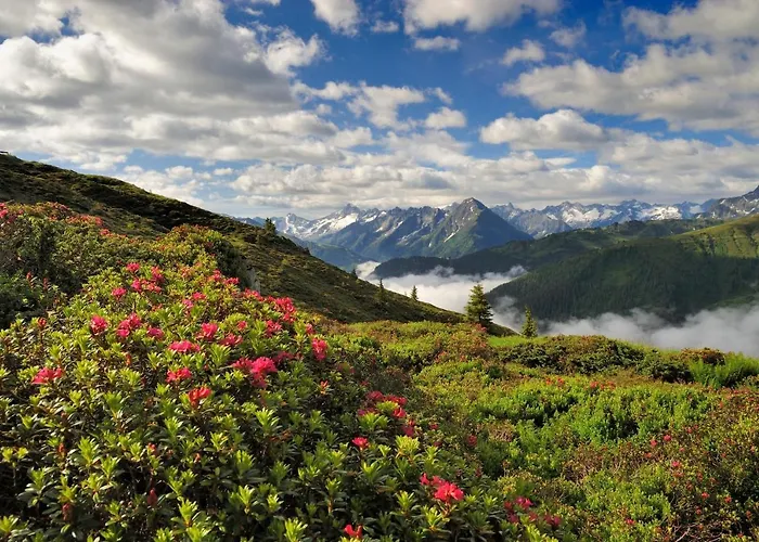 Brugger Chaletdorf Σαλέ Mayrhofen