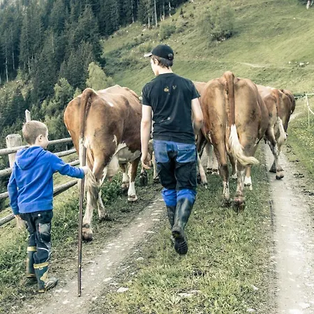 Brugger Chaletdorf شاليه